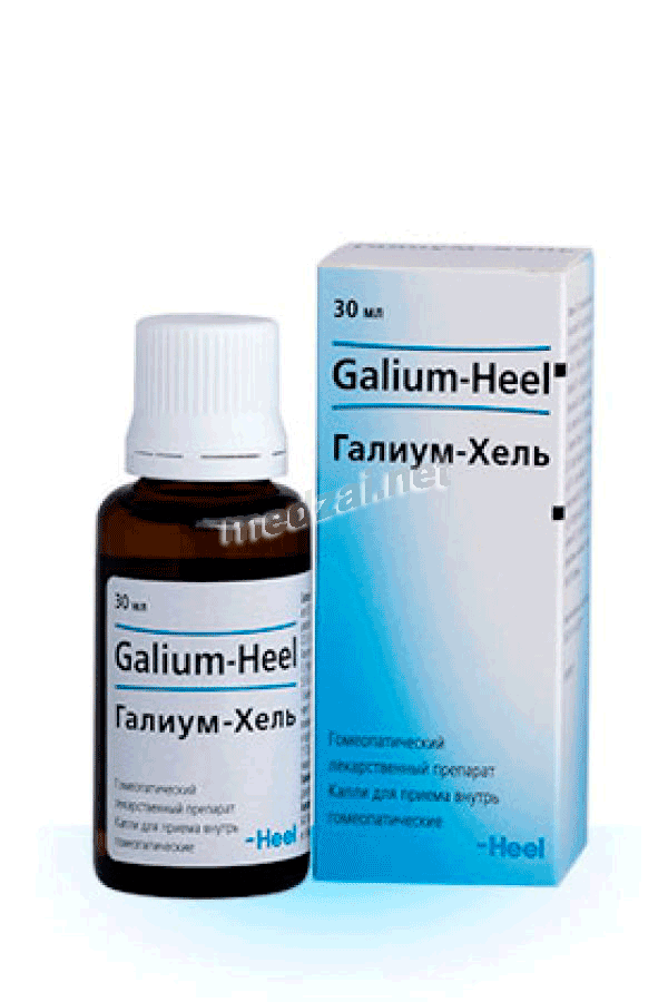 Галиум-хель liquide oral BIOLOGISCHE HEILMITTEL HEEL (ALLEMAGNE)