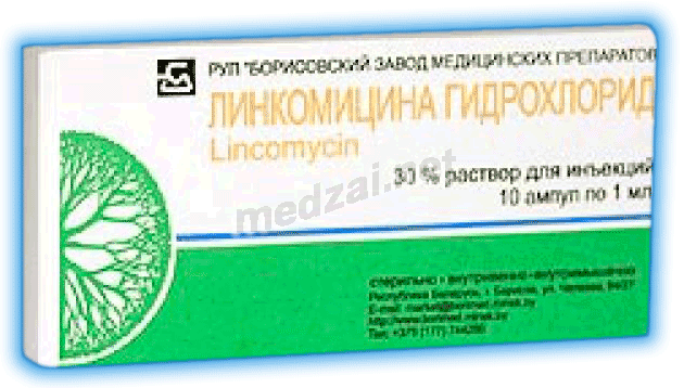 Линкомицин solution injectable (IM - IV) BORISOVSKIY ZAVOD MEDICINSKIKH PREPARATOV (République de Biélorussie)