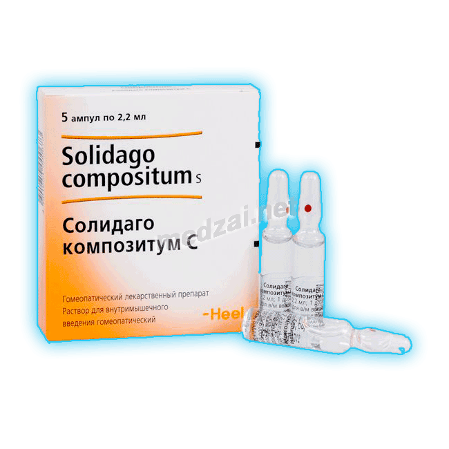 Solidago compositum s  solution injectable (IM) BIOLOGISCHE HEILMITTEL HEEL (ALLEMAGNE) Posologie et mode d