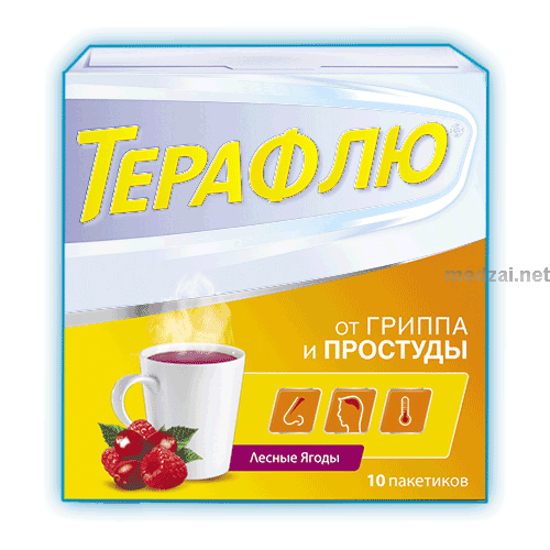 Терафлю порошок для приготовления раствора для приема внутрь; АО "ГлаксоСмитКляйн Хелскер" (Россия)