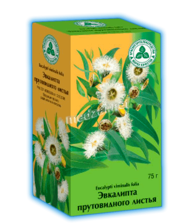 Eucalypti viminalis folia   AO "Krasnogorsklexredstva" (Fédération de Russie) Posologie et mode d