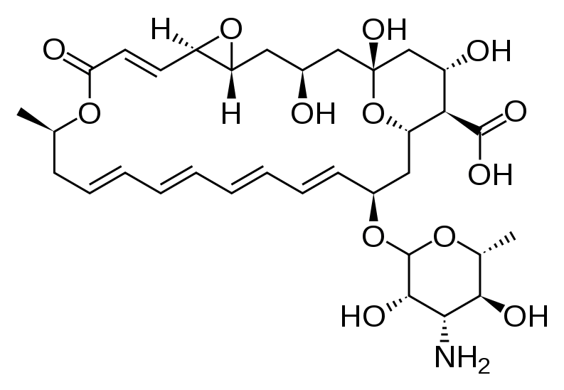 Natamycin - Pharmacocinétique et effets indésirables. Les médicaments avec le principe actif Natamycin - Medzai.net
