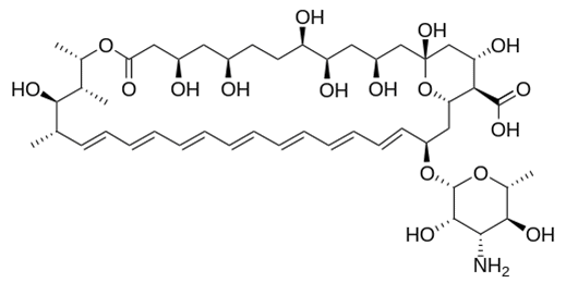 Amphotéricine b - Pharmacocinétique et effets indésirables. Les médicaments avec le principe actif Amphotéricine b - Medzai.net