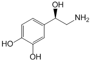 Норэпинефрин - фармакокинетика и побочные действия. Препараты, содержащие Норэпинефрин - Medzai.net