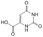 Orotique (acide) - Pharmacocinétique et effets indésirables. Les médicaments avec le principe actif Orotique (acide) - Medzai.net