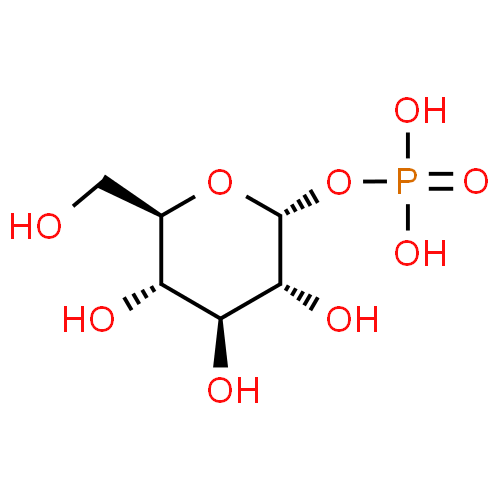 Glucose-1 phosphate disodique tétrahydraté - Pharmacocinétique et effets indésirables. Les médicaments avec le principe actif Glucose-1 phosphate disodique tétrahydraté - Medzai.net