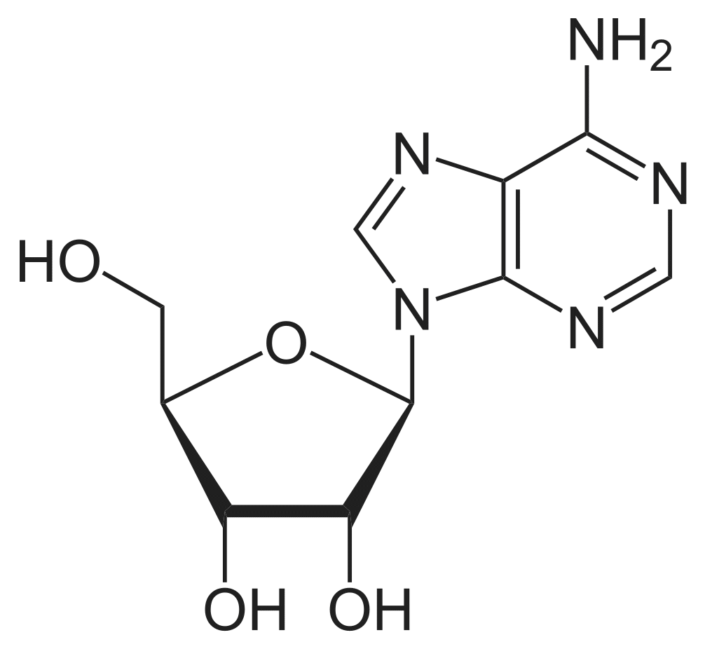 Adénosine - Pharmacocinétique et effets indésirables. Les médicaments avec le principe actif Adénosine - Medzai.net