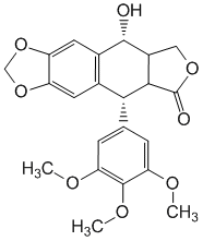 Podophyllotoxine - Pharmacocinétique et effets indésirables. Les médicaments avec le principe actif Podophyllotoxine - Medzai.net