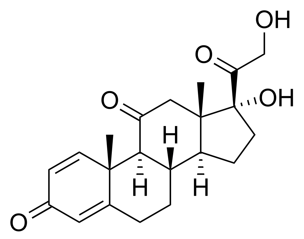 Prednisone - Pharmacocinétique et effets indésirables. Les médicaments avec le principe actif Prednisone - Medzai.net