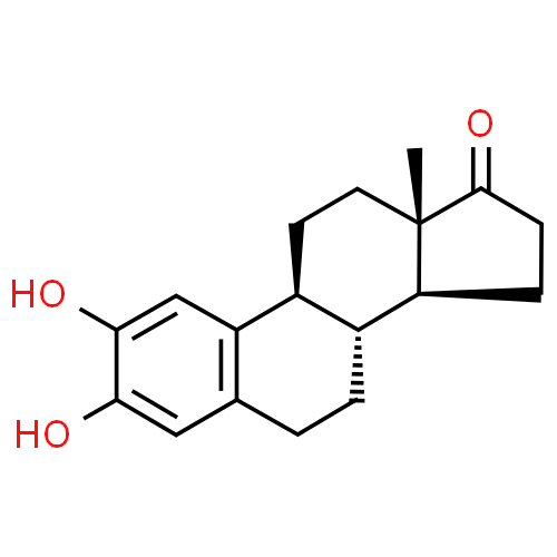 Estrone - Pharmacocinétique et effets indésirables. Les médicaments avec le principe actif Estrone - Medzai.net