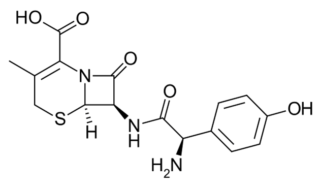 Céfadroxil - Pharmacocinétique et effets indésirables. Les médicaments avec le principe actif Céfadroxil - Medzai.net