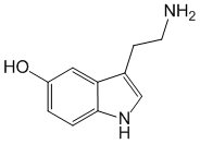 Serotonin - Pharmacocinétique et effets indésirables. Les médicaments avec le principe actif Serotonin - Medzai.net
