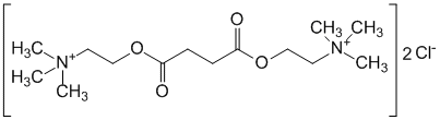 Суксаметония хлорид - фармакокинетика и побочные действия. Препараты, содержащие Суксаметония хлорид - Medzai.net