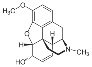 Кодеин - фармакокинетика и побочные действия. Препараты, содержащие Кодеин - Medzai.net