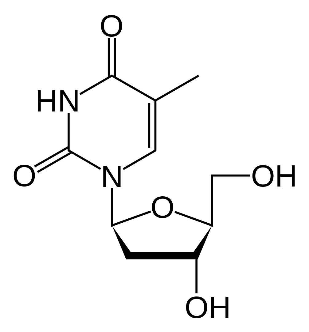 Телбивудин - фармакокинетика и побочные действия. Препараты, содержащие Телбивудин - Medzai.net