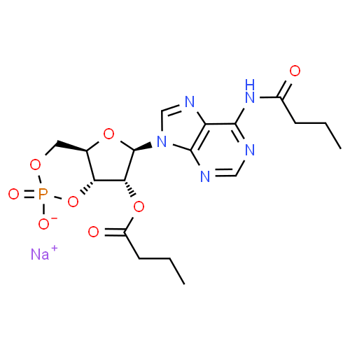 Bucladesine - Pharmacocinétique et effets indésirables. Les médicaments avec le principe actif Bucladesine - Medzai.net