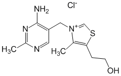 Thiamine - Pharmacocinétique et effets indésirables. Les médicaments avec le principe actif Thiamine - Medzai.net