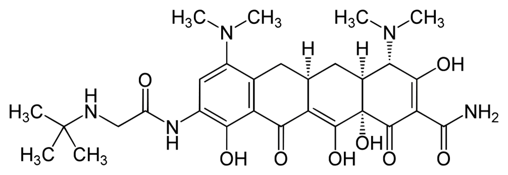 Tigécycline - Pharmacocinétique et effets indésirables. Les médicaments avec le principe actif Tigécycline - Medzai.net