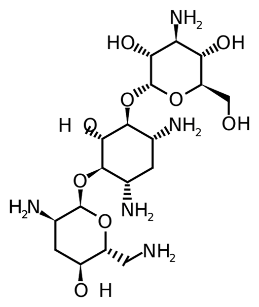 Tobramycine - Pharmacocinétique et effets indésirables. Les médicaments avec le principe actif Tobramycine - Medzai.net