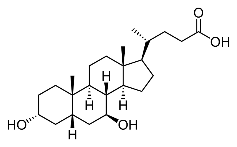 Acide ursodésoxycholique - Pharmacocinétique et effets indésirables. Les médicaments avec le principe actif Acide ursodésoxycholique - Medzai.net