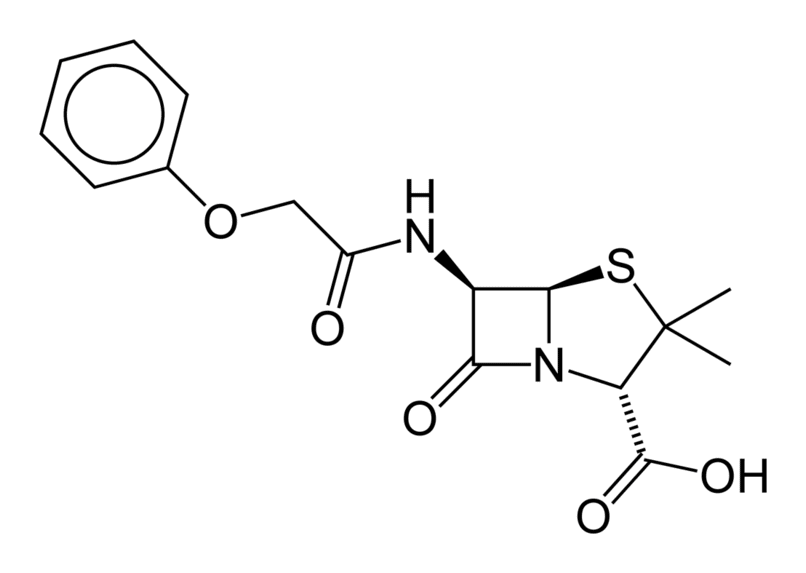Феноксиметилпенициллин - фармакокинетика и побочные действия. Препараты, содержащие Феноксиметилпенициллин - Medzai.net