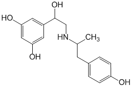 Фенотерол - фармакокинетика и побочные действия. Препараты, содержащие Фенотерол - Medzai.net