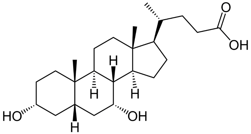 Acide chénodésoxycholique  - Pharmacocinétique et effets indésirables. Les médicaments avec le principe actif Acide chénodésoxycholique  - Medzai.net