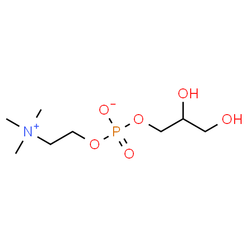 Choline alfoscerate - Pharmacocinétique et effets indésirables. Les médicaments avec le principe actif Choline alfoscerate - Medzai.net