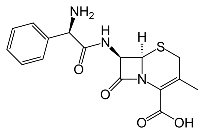 Цефалексин - фармакокинетика и побочные действия. Препараты, содержащие Цефалексин - Medzai.net