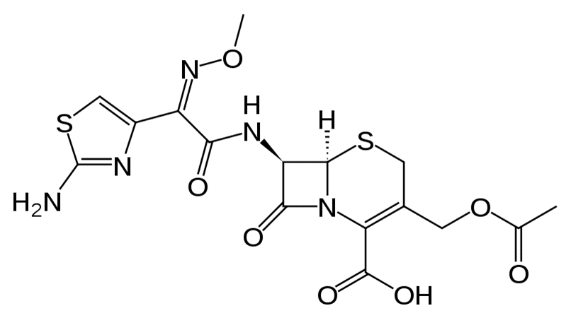 Céfotaxime - Pharmacocinétique et effets indésirables. Les médicaments avec le principe actif Céfotaxime - Medzai.net