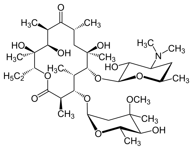 Érythromycine - Pharmacocinétique et effets indésirables. Les médicaments avec le principe actif Érythromycine - Medzai.net