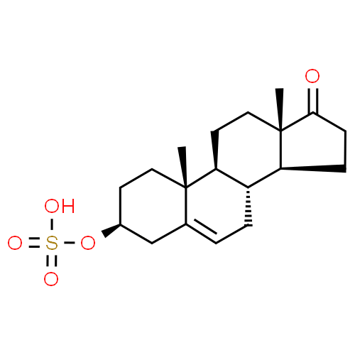 Prasterone - Pharmacocinétique et effets indésirables. Les médicaments avec le principe actif Prasterone - Medzai.net