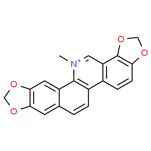 Сангвиритрин - фармакокинетика и побочные действия. Препараты, содержащие Сангвиритрин - Medzai.net