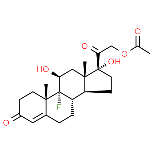 Fludrocortisone - Pharmacocinétique et effets indésirables. Les médicaments avec le principe actif Fludrocortisone - Medzai.net