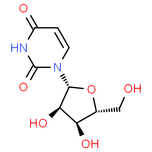 Uridine - Pharmacocinétique et effets indésirables. Les médicaments avec le principe actif Uridine - Medzai.net