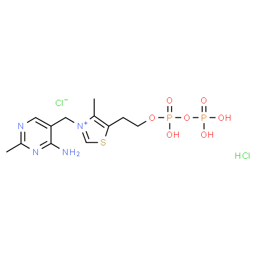 Cocarboxylase - Pharmacocinétique et effets indésirables. Les médicaments avec le principe actif Cocarboxylase - Medzai.net