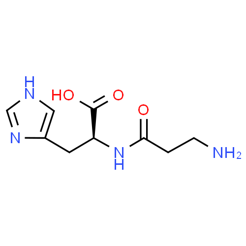 Carnosine - Pharmacocinétique et effets indésirables. Les médicaments avec le principe actif Carnosine - Medzai.net