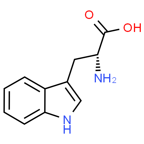 Триптофан - фармакокинетика и побочные действия. Препараты, содержащие Триптофан - Medzai.net
