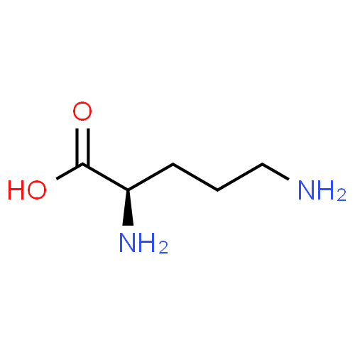 L-ornithine - Pharmacocinétique et effets indésirables. Les médicaments avec le principe actif L-ornithine - Medzai.net