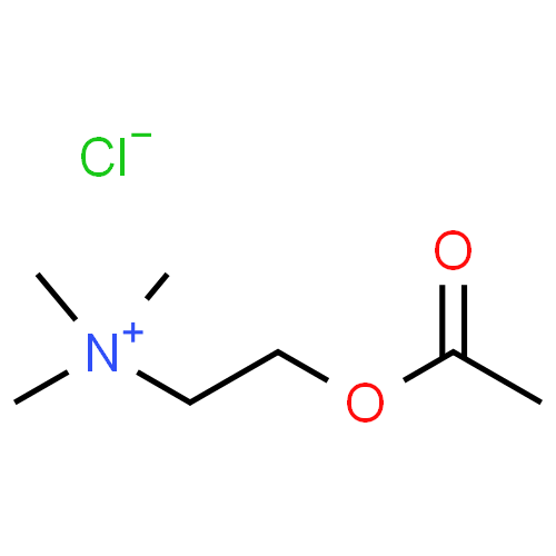 Ацетилхолина хлорид - фармакокинетика и побочные действия. Препараты, содержащие Ацетилхолина хлорид - Medzai.net
