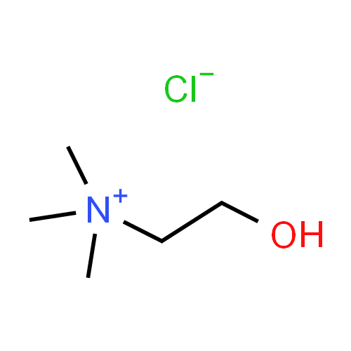 Холина хлорид - фармакокинетика и побочные действия. Препараты, содержащие Холина хлорид - Medzai.net