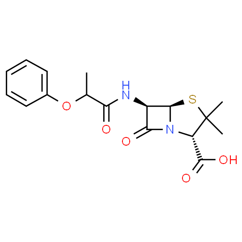Pheneticillin - Pharmacocinétique et effets indésirables. Les médicaments avec le principe actif Pheneticillin - Medzai.net