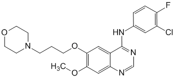 Гефитиниб - фармакокинетика и побочные действия. Препараты, содержащие Гефитиниб - Medzai.net