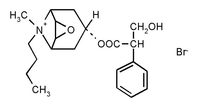 Butylscopolamine (bromure de) - Pharmacocinétique et effets indésirables. Les médicaments avec le principe actif Butylscopolamine (bromure de) - Medzai.net