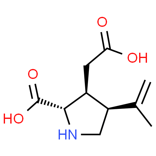 Каиновая кислота - фармакокинетика и побочные действия. Препараты, содержащие Каиновая кислота - Medzai.net