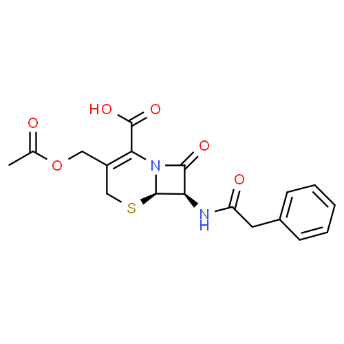Цефалорам - фармакокинетика и побочные действия. Препараты, содержащие Цефалорам - Medzai.net