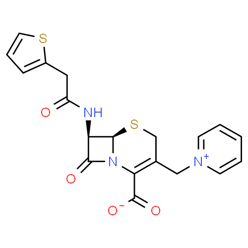 Cefaloridine sodique - Pharmacocinétique et effets indésirables. Les médicaments avec le principe actif Cefaloridine sodique - Medzai.net