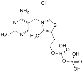 Кокарбоксилаза - фармакокинетика и побочные действия. Препараты, содержащие Кокарбоксилаза - Medzai.net