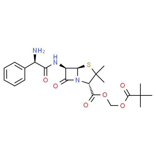 Pivampicilline - Pharmacocinétique et effets indésirables. Les médicaments avec le principe actif Pivampicilline - Medzai.net