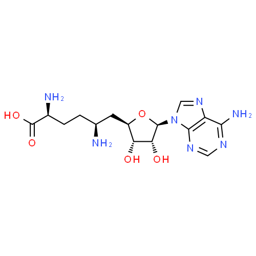 Синефунгин - фармакокинетика и побочные действия. Препараты, содержащие Синефунгин - Medzai.net